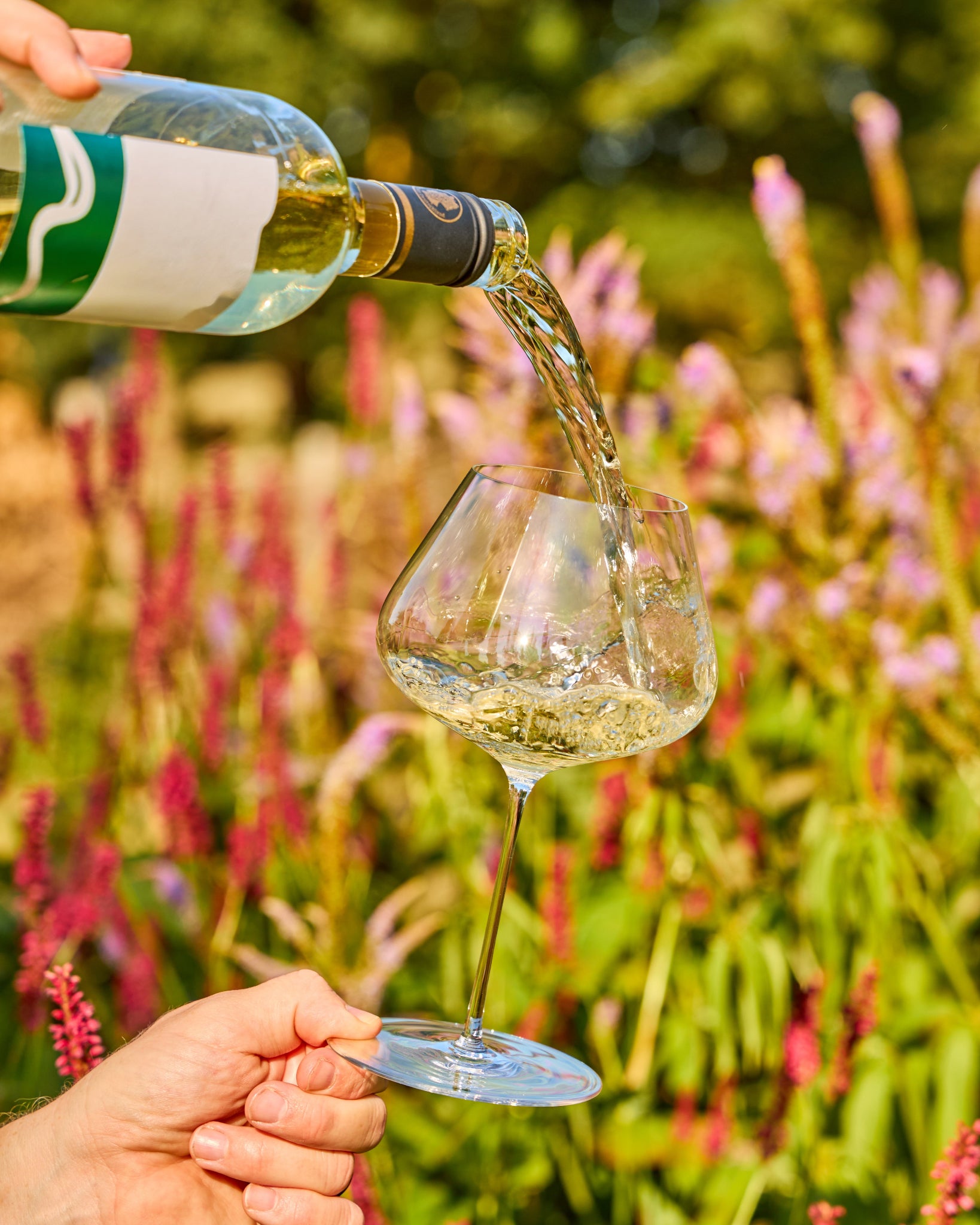 White wine being poured from a bottle into a stemmed Zalto Balance glass, held by a hand, set against a blurred garden background with pink flowers and green foliage.
