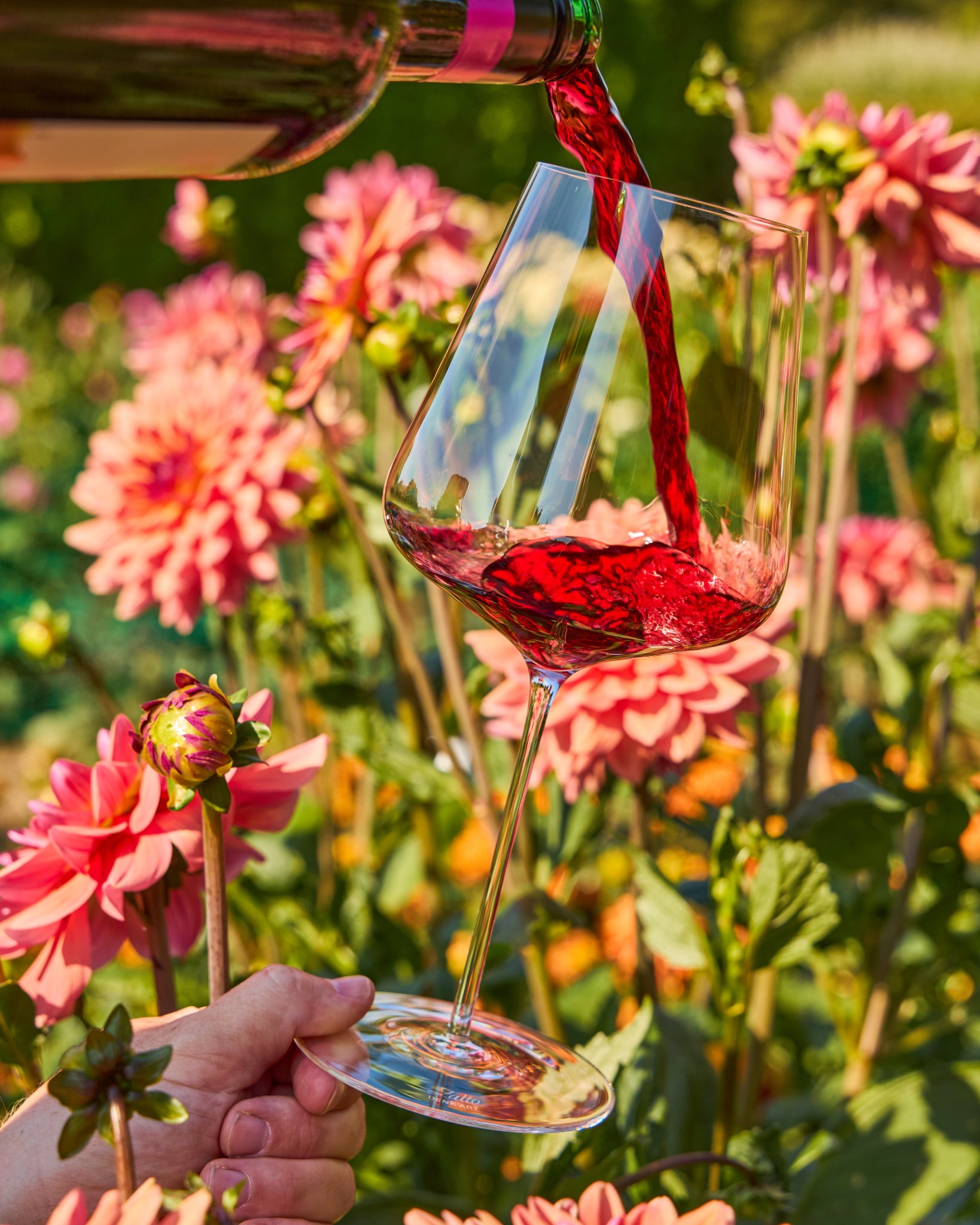 Red wine being poured from a dark green bottle into a clear stemmed Zalto Bordeaux wine glass, held by a hand against a background of pink flowers and green foliage.