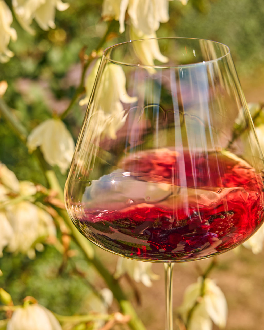 A clear stemmed Zalto Burgundy wine glass filled with red wine, photographed outdoors against a soft-focus background of green foliage and white flowers.
