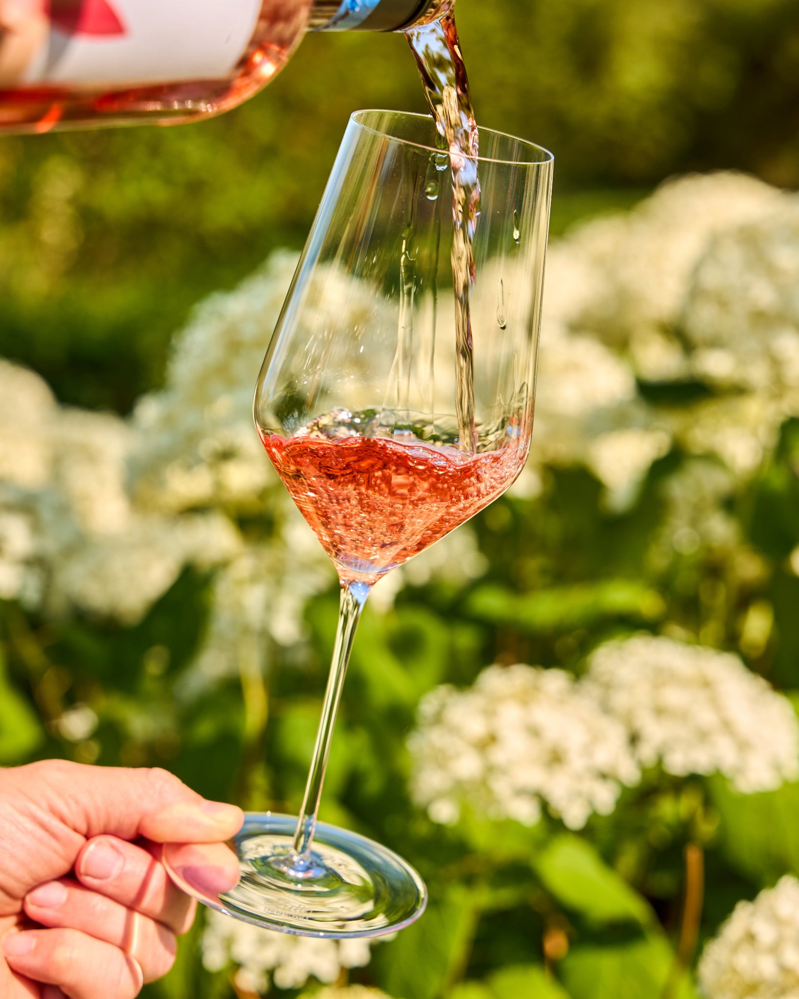 Rose gold wine being poured from a bottle into a clear Zalto white wine glass held by a hand, set against a blurred garden background with white flowers and green foliage.