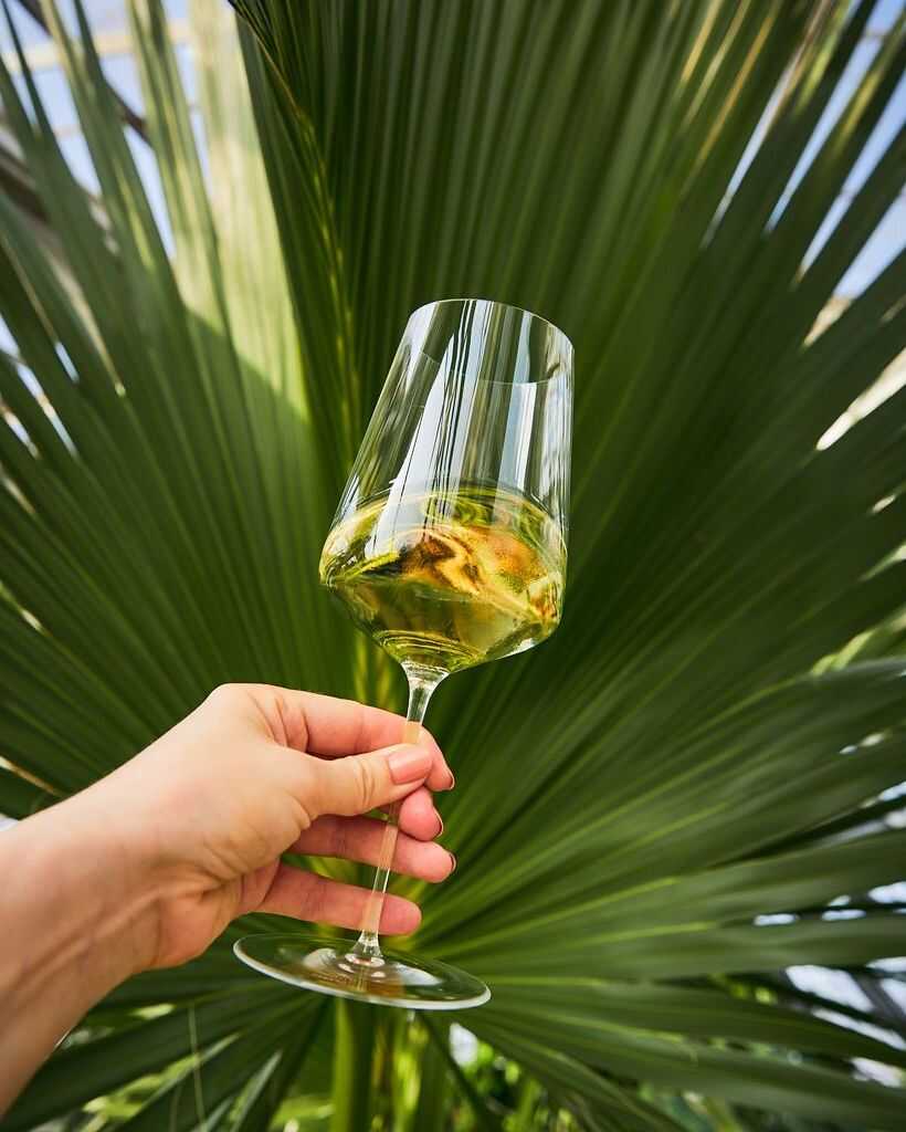 Zalto Universal Glass Zaltify